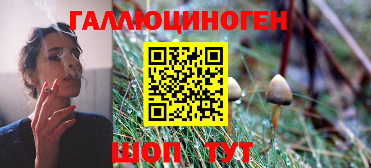 Дербент  Галлюциногенные грибы Psilocybe  Вход с VPN  Галлюциногенные грибы Cubensis 